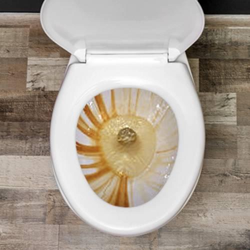 Bathroom Stains