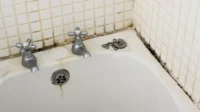 scum on tub