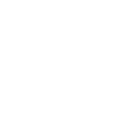 Shield icon
